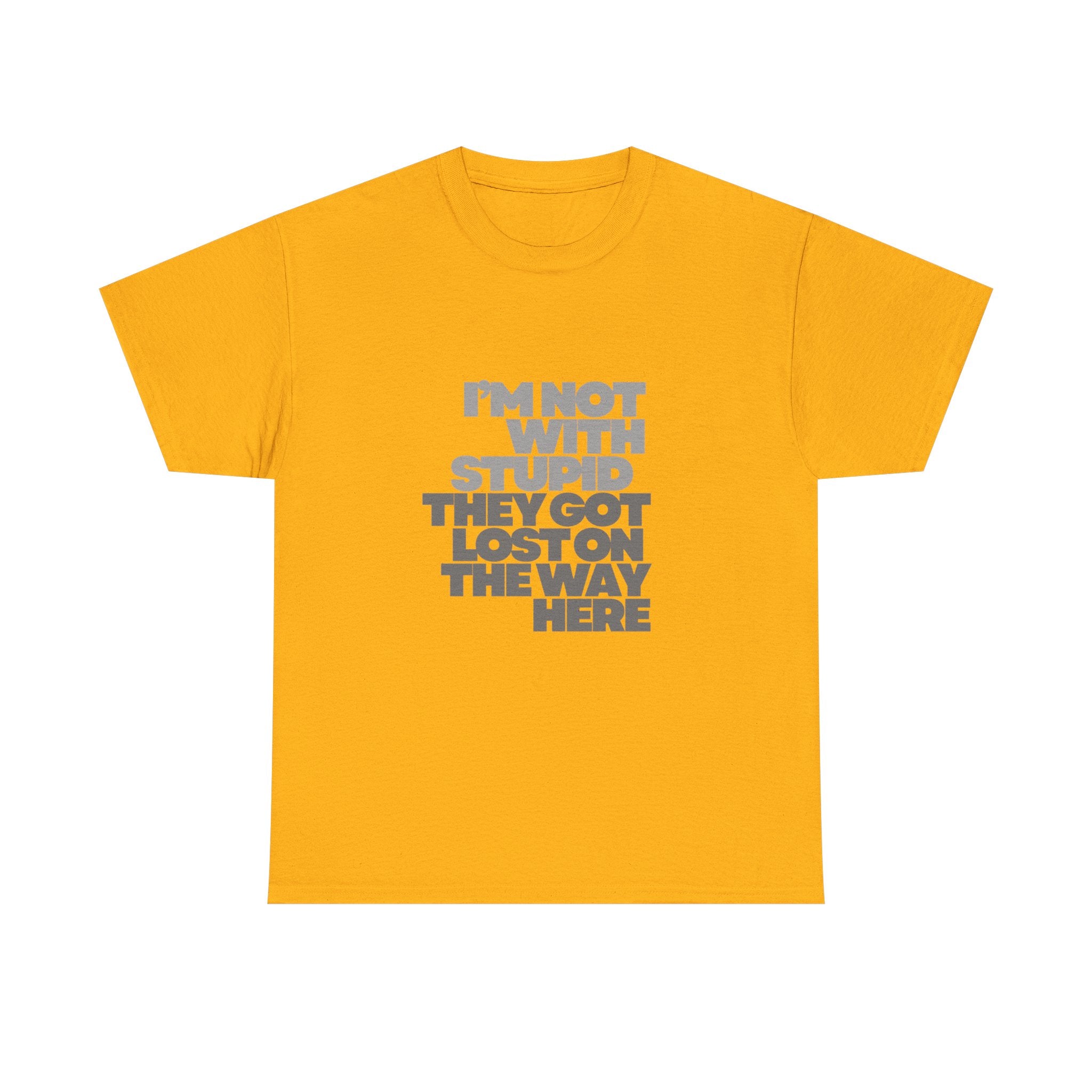 Provocative Graphic Tee — "I'm Not With Stupid They Got Lost On The Way Here"