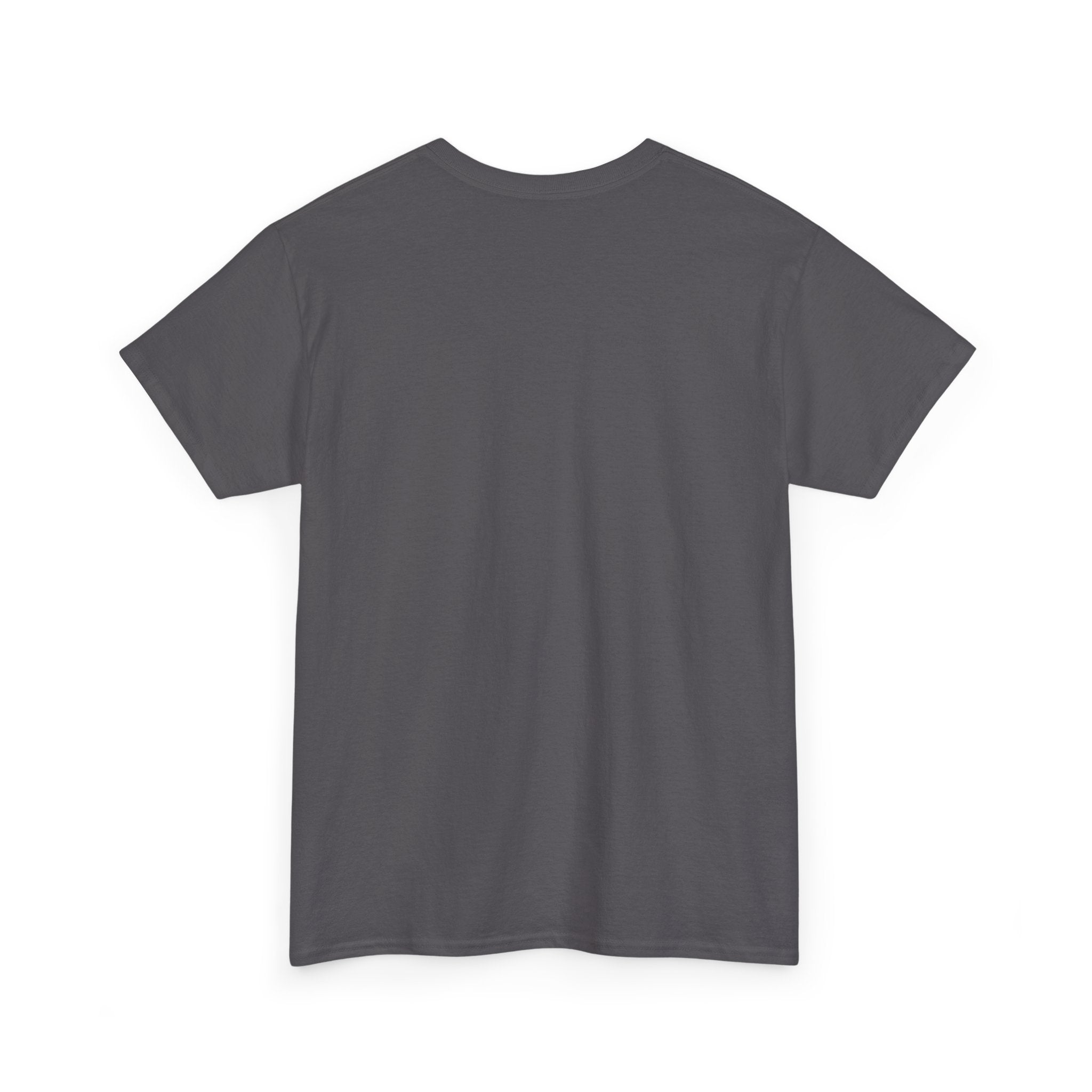 Provocative Graphic Tee — "I'm Not With Stupid They Got Lost On The Way Here"