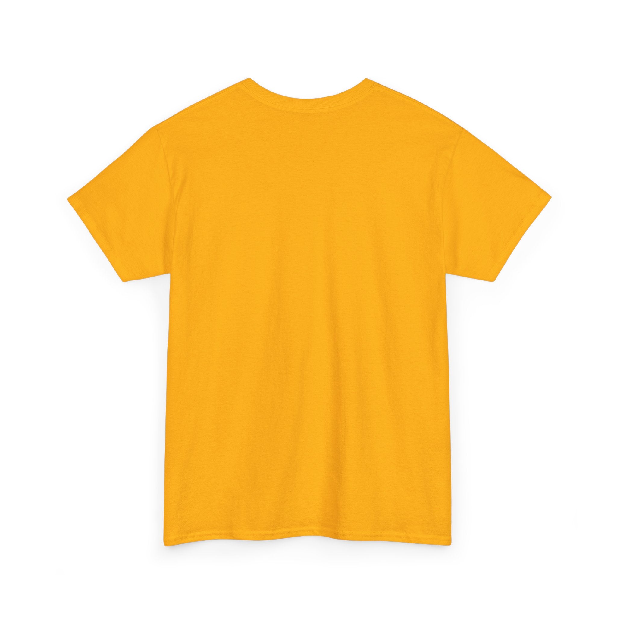Provocative Graphic Tee — "I'm Not With Stupid They Got Lost On The Way Here"